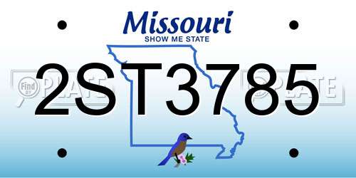 2ST3785 Missouri License Plate