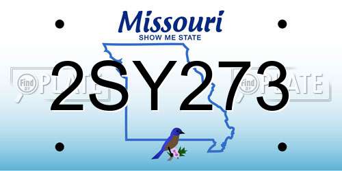 2SY273 Missouri License Plate