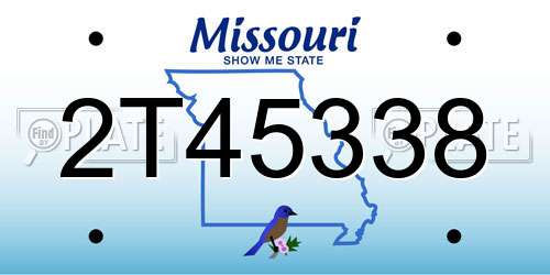 2T45338 Missouri License Plate