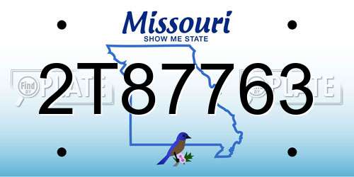 2T87763 Missouri License Plate