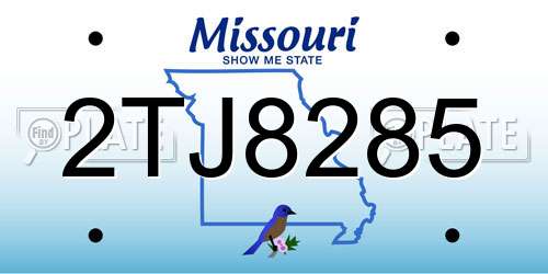 2TJ8285 Missouri License Plate