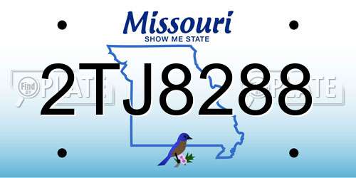2TJ8288 Missouri License Plate