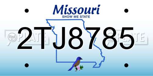 2TJ8785 Missouri License Plate