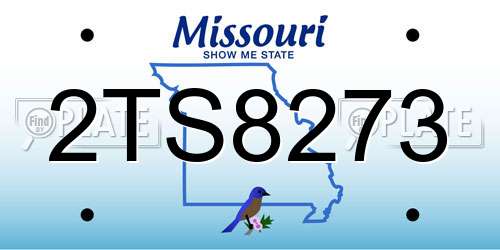 2TS8273 Missouri License Plate
