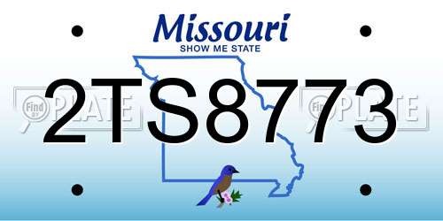 2TS8773 Missouri License Plate