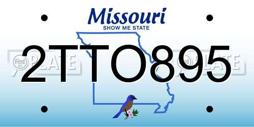 2TTO895 Missouri License Plate