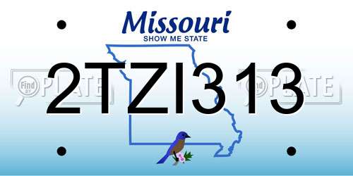 2TZI313 Missouri License Plate