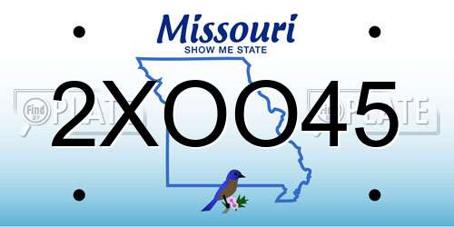 2XOO45 Missouri License Plate