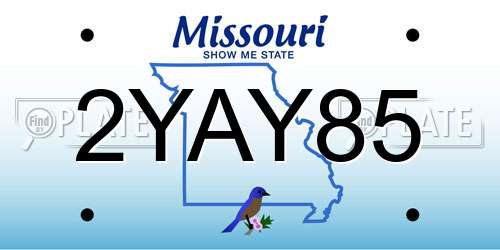 2YAY85 Missouri License Plate