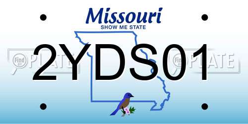 2YDS01 Missouri License Plate