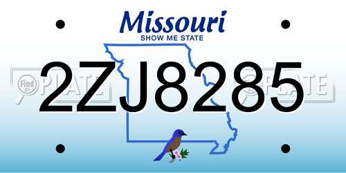 2ZJ8285 Missouri License Plate