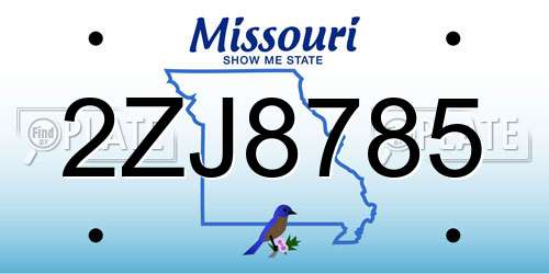 2ZJ8785 Missouri License Plate