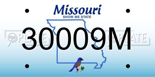 30009M Missouri License Plate
