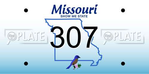 307 Missouri License Plate