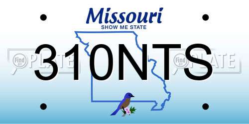 310NTS Missouri License Plate