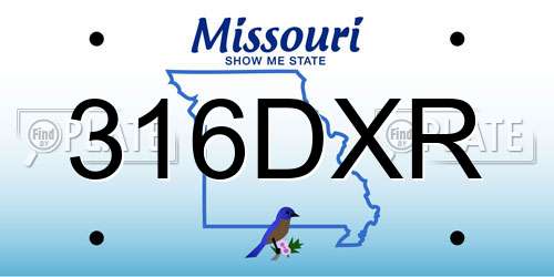 316DXR Missouri License Plate