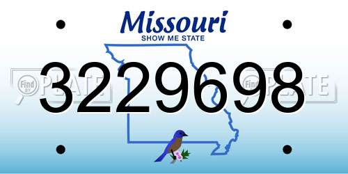 3229698 Missouri License Plate