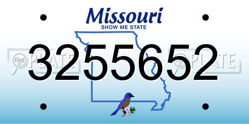 3255652 Missouri License Plate