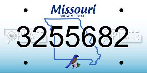 3255682 Missouri License Plate