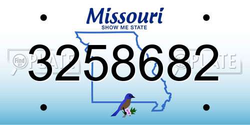 3258682 Missouri License Plate