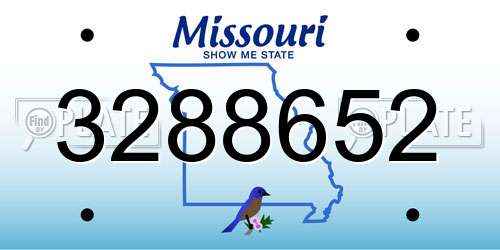 3288652 Missouri License Plate