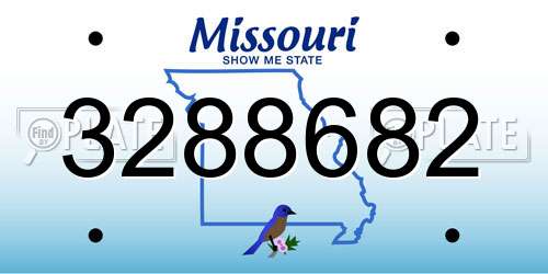 3288682 Missouri License Plate