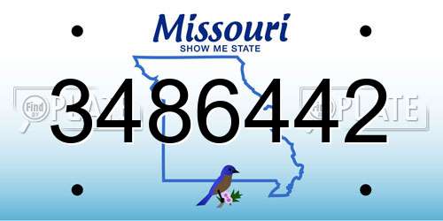 3486442 Missouri License Plate