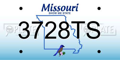 3728TS Missouri License Plate