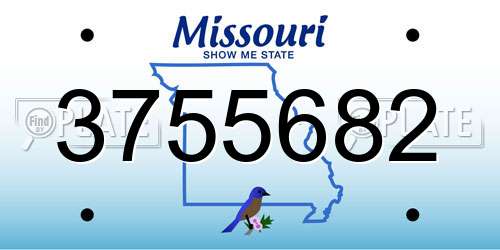 3755682 Missouri License Plate