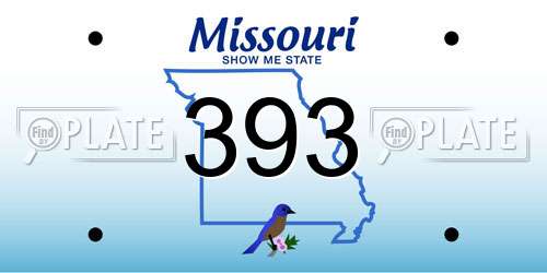 393 Missouri License Plate