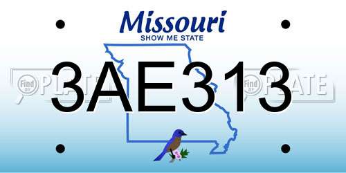 3AE313 Missouri License Plate