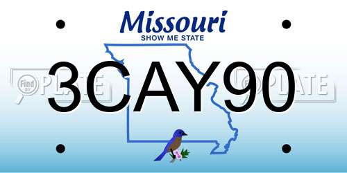 3CAY90 Missouri License Plate