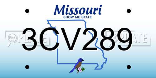 3CV289 Missouri License Plate