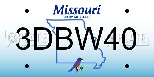 3DBW40 Missouri License Plate