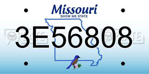 3E56808 Missouri License Plate