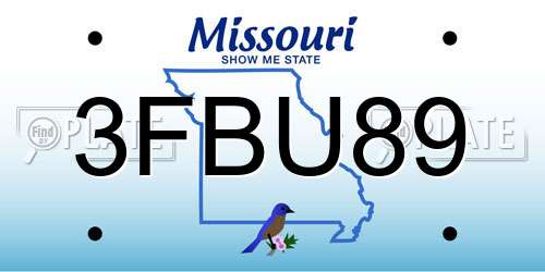 3FBU89 Missouri License Plate