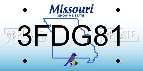 3FDG81 Missouri License Plate