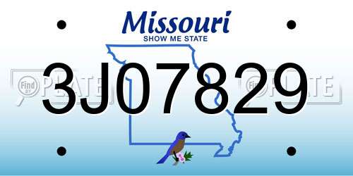3J07829 Missouri License Plate