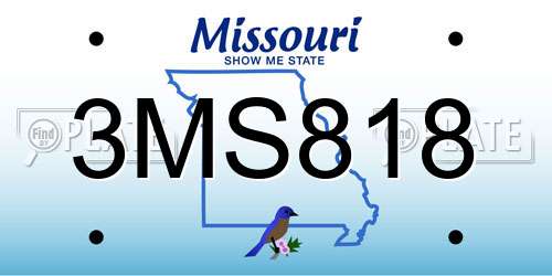 3MS818 Missouri License Plate