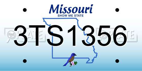 3TS1356 Missouri License Plate