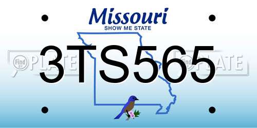 3TS565 Missouri License Plate