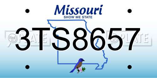 3TS8657 Missouri License Plate