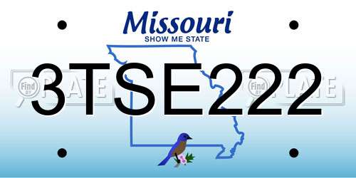 3TSE222 Missouri License Plate