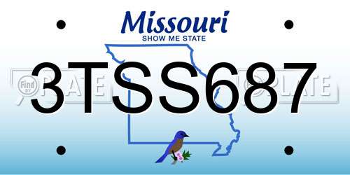 3TSS687 Missouri License Plate