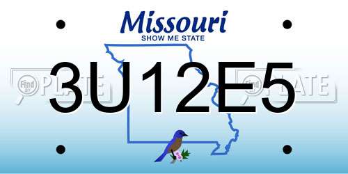 3U12E5 Missouri License Plate