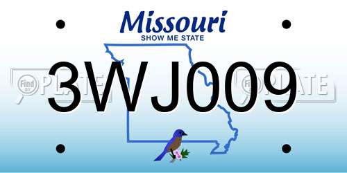 3WJ009 Missouri License Plate