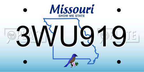 3WU919 Missouri License Plate