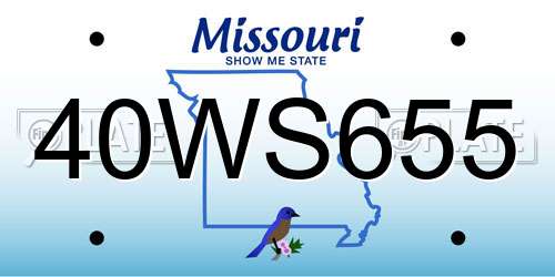 40WS655 Missouri License Plate