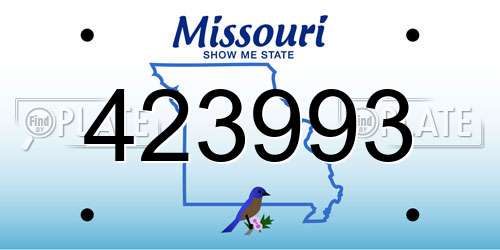 423993 Missouri License Plate