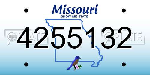 4255132 Missouri License Plate